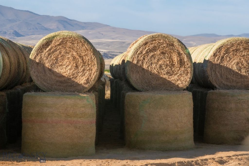 1891 Spring Creek Road, Dillon, MT 59725 photo 60