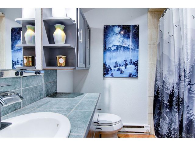 249 Mesa Dr, Evergreen, CO 80439