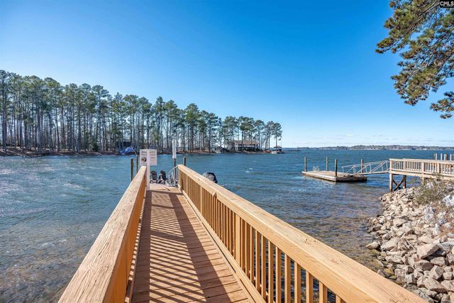 1072 Libby Ariail Circle, Chapin, SC 29036