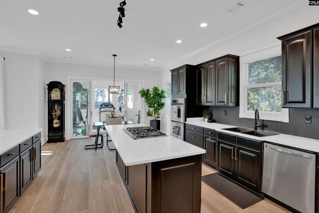 1072 Libby Ariail Circle, Chapin, SC 29036