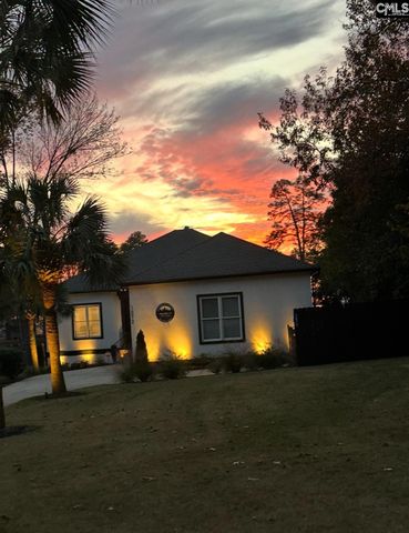 1072 Libby Ariail Circle, Chapin, SC 29036