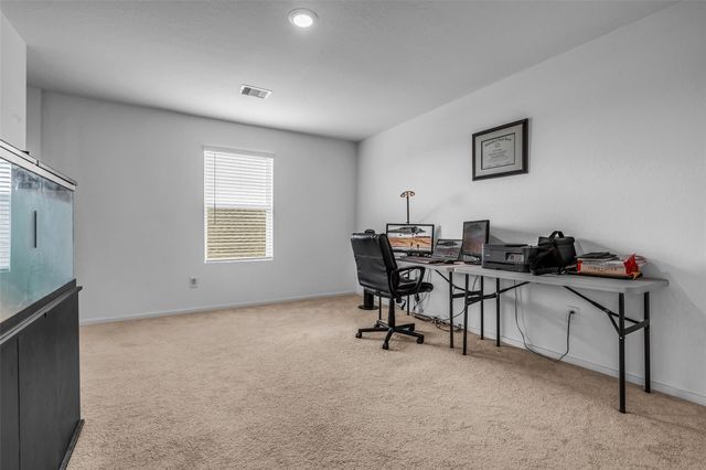 28906 Texas Plains Drive, Hockley, TX 77447