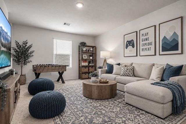 28906 Texas Plains Drive, Hockley, TX 77447