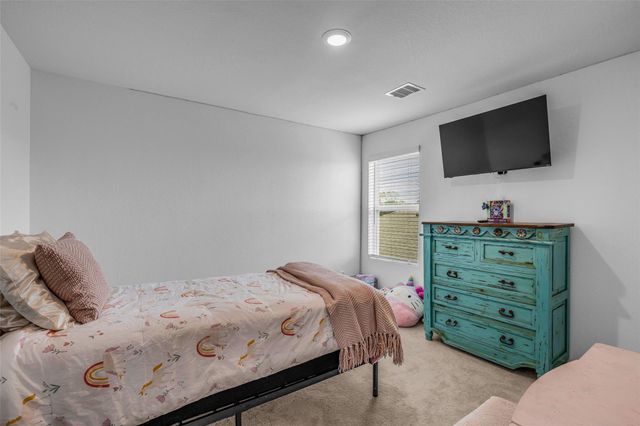 28906 Texas Plains Drive, Hockley, TX 77447