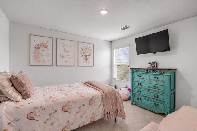 28906 Texas Plains Drive, Hockley, TX 77447