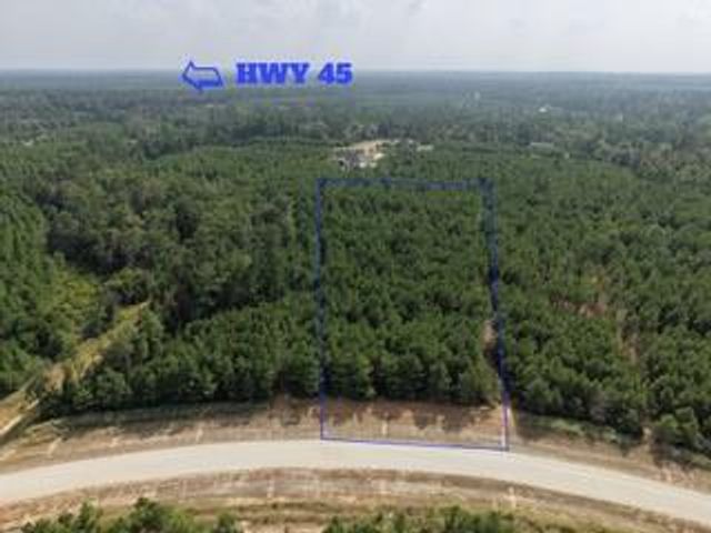 12046 Compassion Lane, Willis, TX 77378