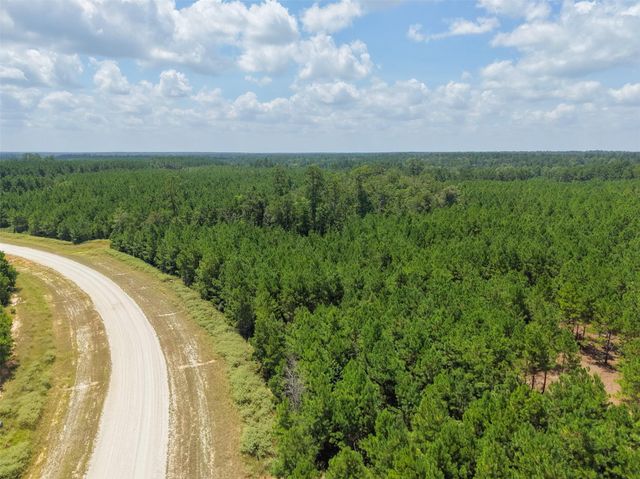 12046 Compassion Lane, Willis, TX 77378