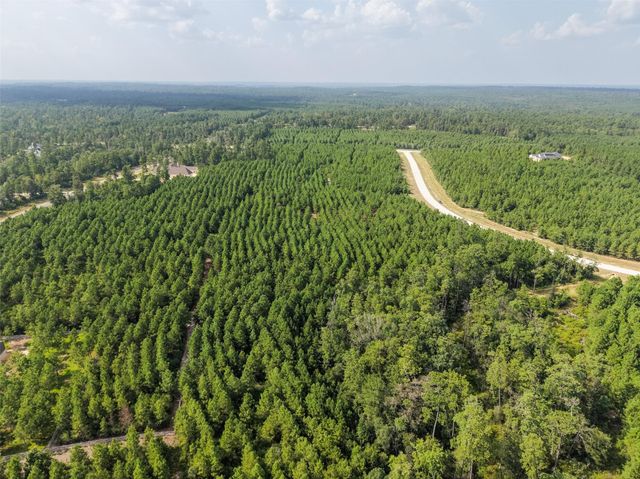 12046 Compassion Lane, Willis, TX 77378