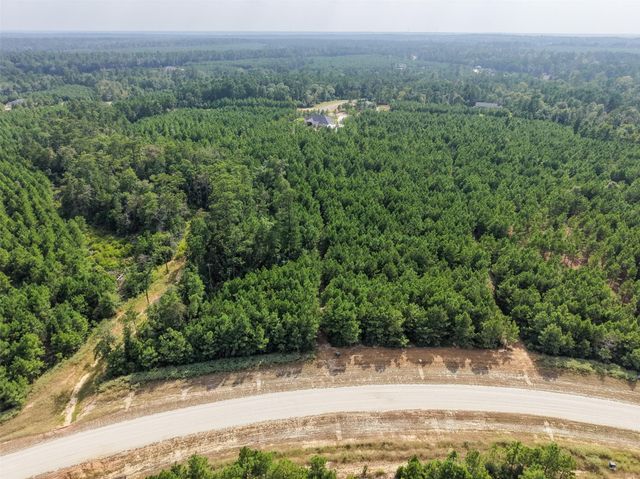 12046 Compassion Lane, Willis, TX 77378