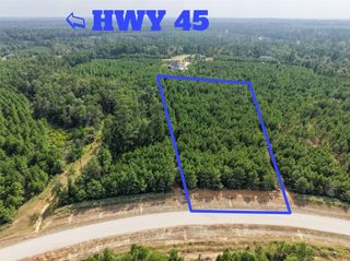 12046 Compassion Lane, Willis, TX 77378