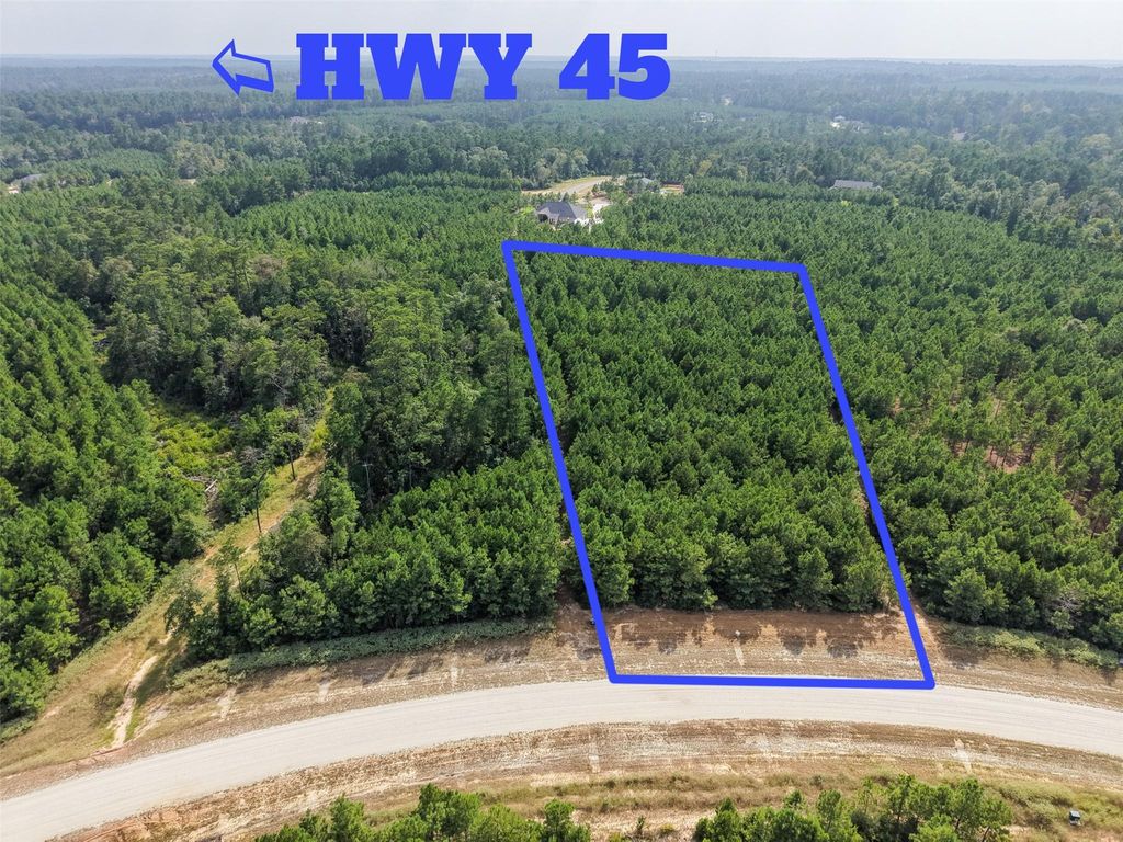 12046 Compassion Lane, Willis, TX 77378