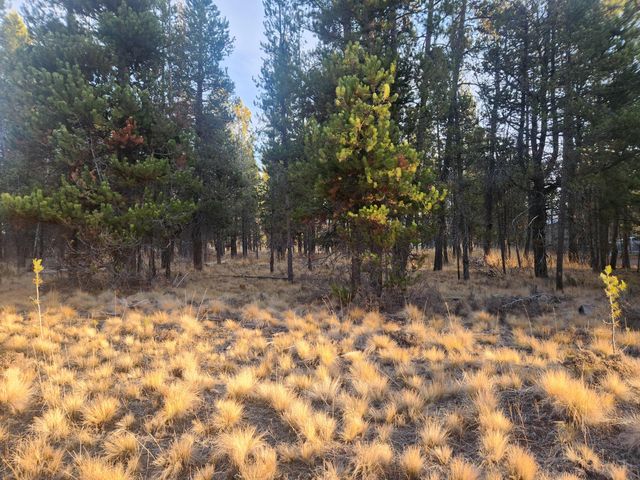 16818 Brenda Drive, Bend, OR 97707