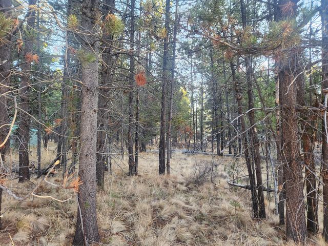 16818 Brenda Drive, Bend, OR 97707