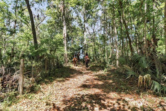 7000 NW HWY 320, Micanopy, FL 32667
