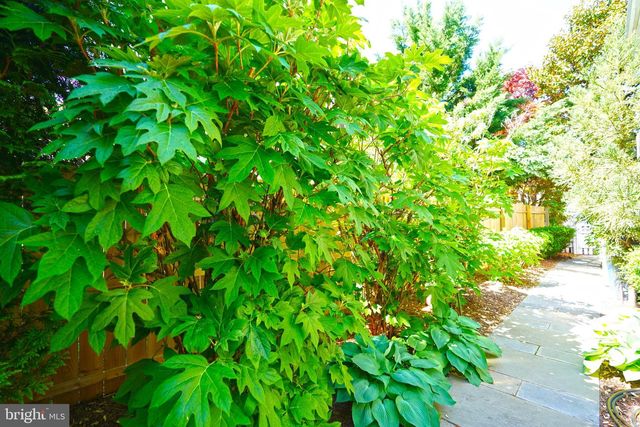 228 2ND ST, Lewes, DE 19958