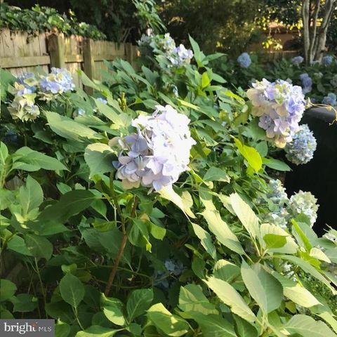 228 2ND ST, Lewes, DE 19958