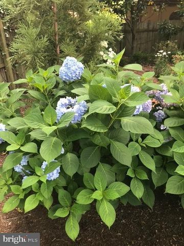 228 2ND ST, Lewes, DE 19958