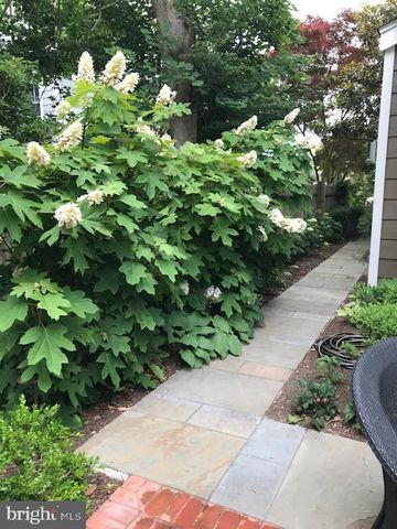 228 2ND ST, Lewes, DE 19958