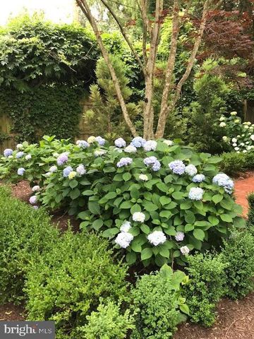 228 2ND ST, Lewes, DE 19958