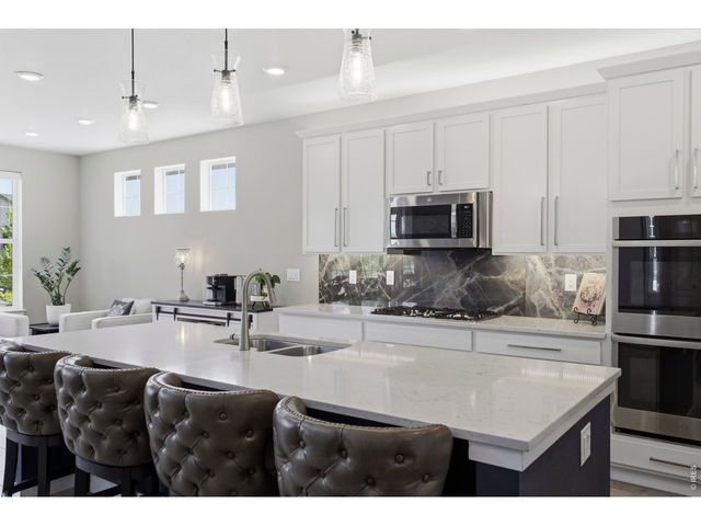 2910 Water View St, Timnath, CO 80547