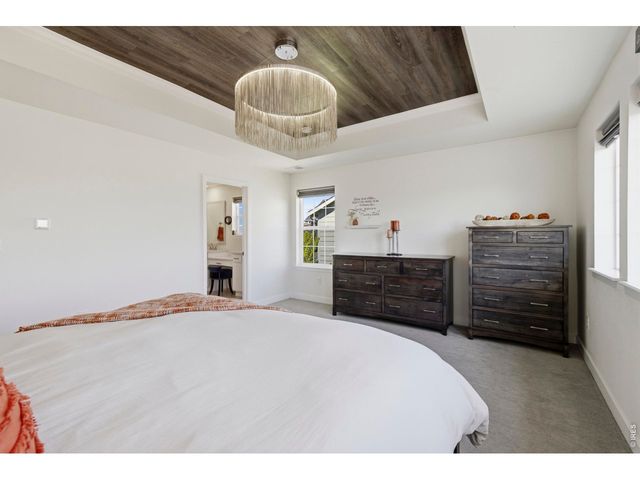 2910 Water View St, Timnath, CO 80547