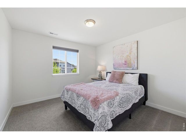 2910 Water View St, Timnath, CO 80547