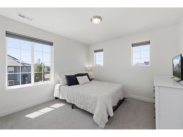 2910 Water View St, Timnath, CO 80547