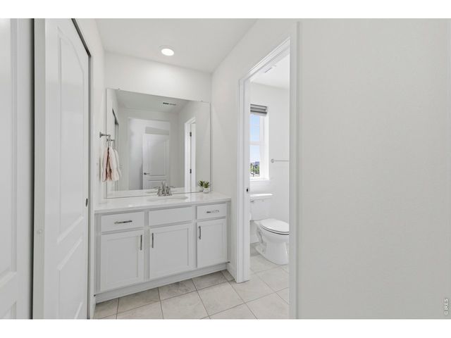 2910 Water View St, Timnath, CO 80547