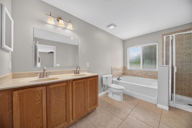 356 BLACK SPRINGS LANE, Winter Garden, FL 34787