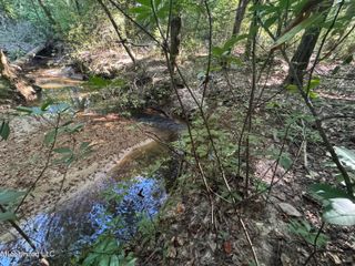 Norman Trail Nw, Brookhaven, MS 39601