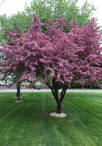 1866 County Road F E, White Bear Lake, MN 55110