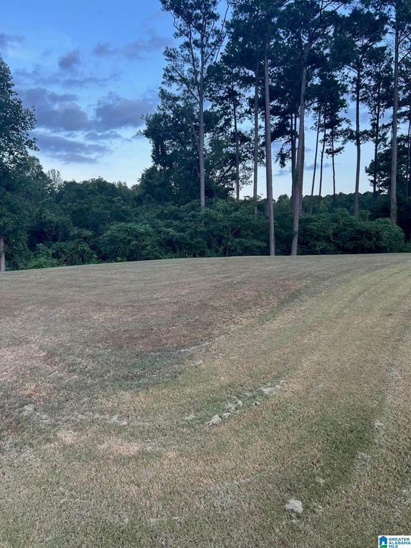 6488 WILLIAM DRIVE, Bessemer, AL 35023