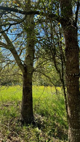 0 Meadow Creek Road, Hockley, TX 77447
