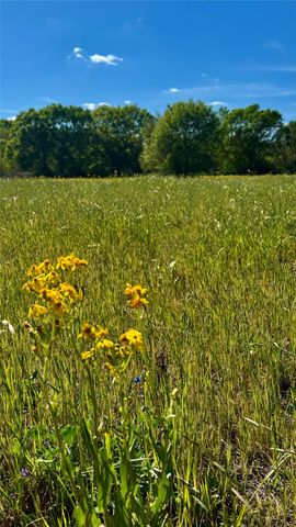 0 Meadow Creek Road, Hockley, TX 77447