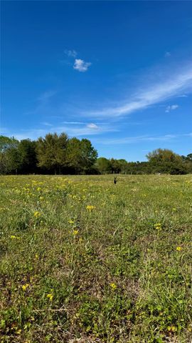 0 Meadow Creek Road, Hockley, TX 77447