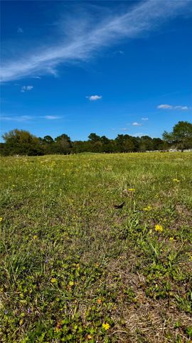 0 Meadow Creek Road, Hockley, TX 77447