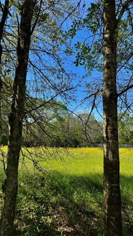 0 Meadow Creek Road, Hockley, TX 77447