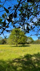 0 Meadow Creek Road, Hockley, TX 77447