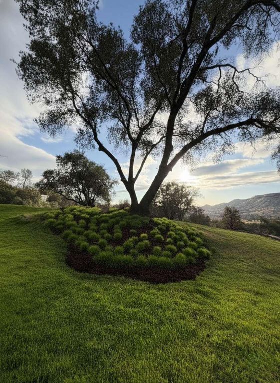 Image 50 of property listing at 23224 Granite Creek Lane, Clovis, CA 93619