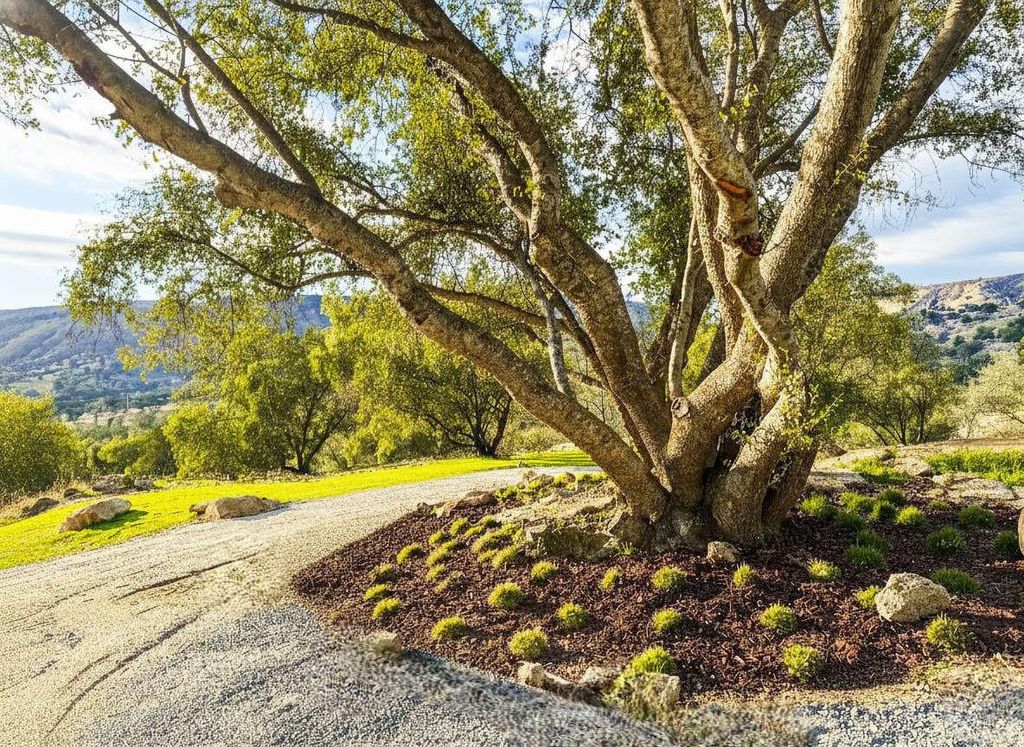 Image 69 of property listing at 23224 Granite Creek Lane, Clovis, CA 93619