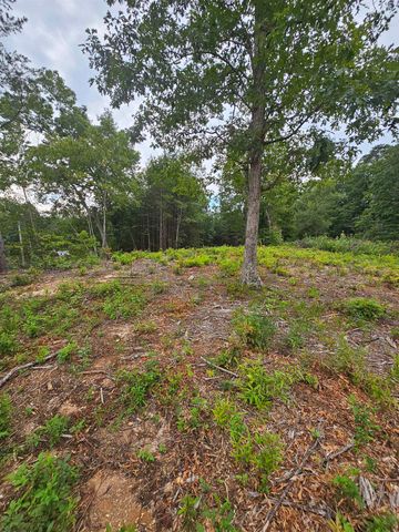 1138 Belue Mill Road, Landrum, SC 29356