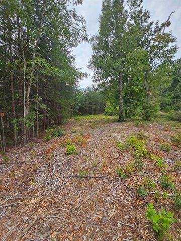 1138 Belue Mill Road, Landrum, SC 29356