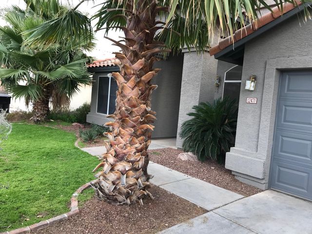 12471 W Holly Street, Avondale, AZ 85392