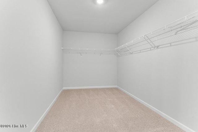 101 Hallwood Drive, Pikeville, NC 27863