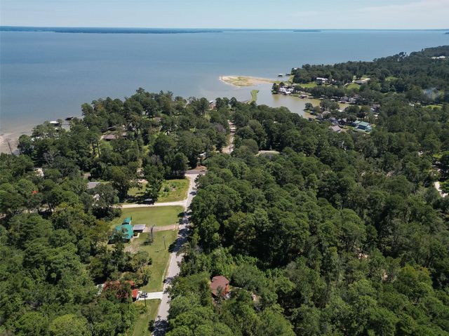 97 Harrell Road, Coldspring, TX 77331
