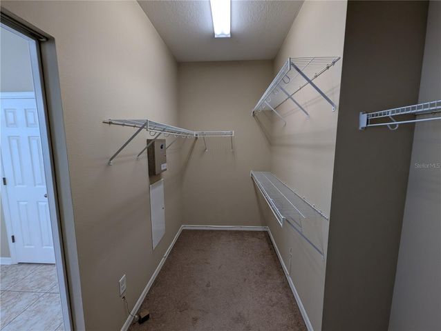 12717 AVELAR CREEK DRIVE, Riverview, FL 33578