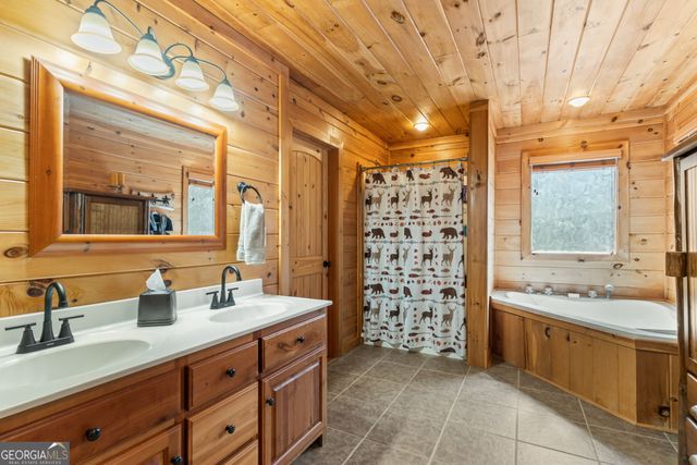 283 Black Gum Lane, Blue Ridge, GA 30513