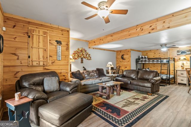283 Black Gum Lane, Blue Ridge, GA 30513