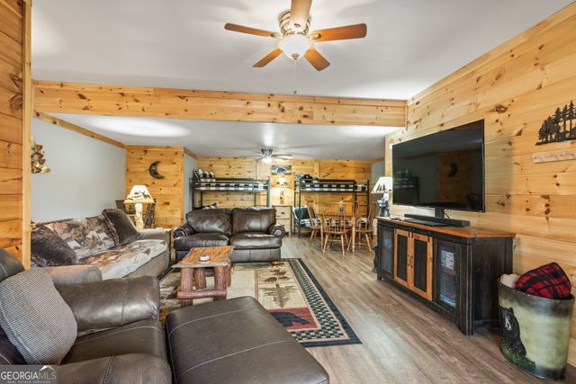 283 Black Gum Lane, Blue Ridge, GA 30513