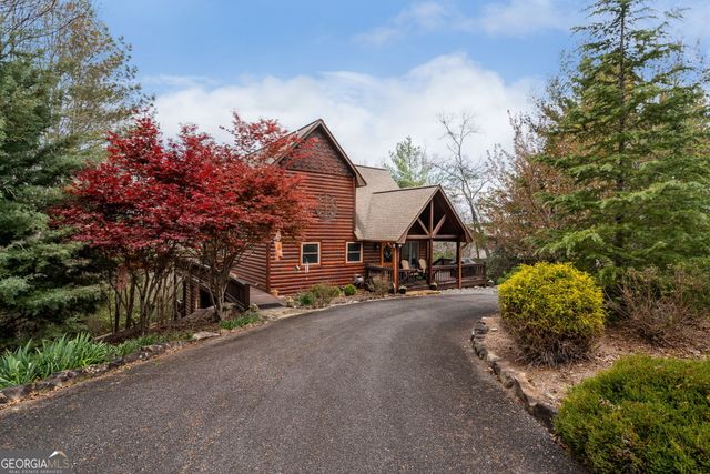 283 Black Gum Lane, Blue Ridge, GA 30513